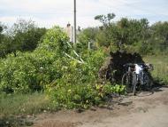 Красиве - Останні фото