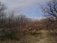 Кацівелі з panoramio.com