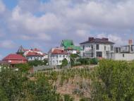 Любимівка з panoramio.com