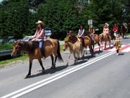 Лопушанка з panoramio.com