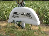 Зелена Балка з panoramio.com