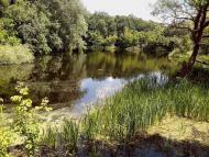 Хорішки з panoramio.com