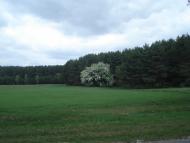 Лички з panoramio.com