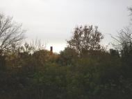 Кіпті з panoramio.com