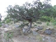 Гончарне з panoramio.com