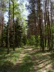 Полянь з panoramio.com