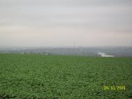 Березнегувате - Останні фото