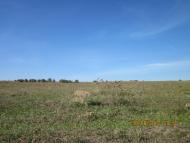 Бабин з panoramio.com