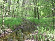 Петрушин з panoramio.com