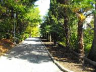 Курпати з panoramio.com