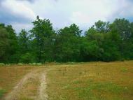 Голубинка з panoramio.com