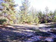 Валуйське з panoramio.com