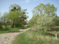 Дроздні з panoramio.com