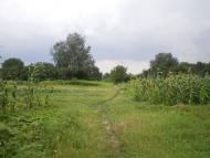 Горбані - Останні фото