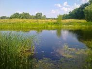 Приліпка з panoramio.com