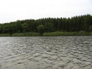 Лісне з panoramio.com