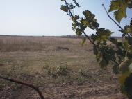 Морське з panoramio.com