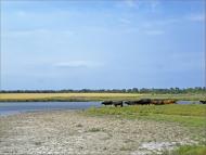 Маяк з panoramio.com