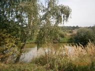 Берездівці з panoramio.com