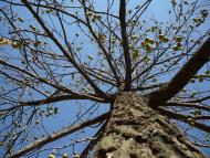 Харцизьк з panoramio.com