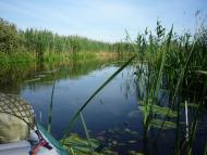 Заячівка з panoramio.com