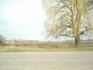 Загальці - Останні фото