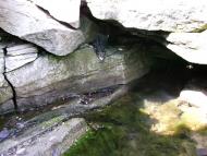 Красний Пахар з panoramio.com