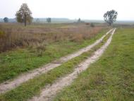 Борщів з panoramio.com