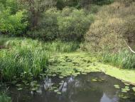 Іценків з panoramio.com