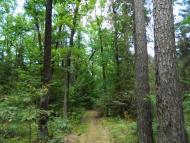 Шепетівка з panoramio.com (ч.2)