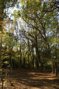 Водне з panoramio.com