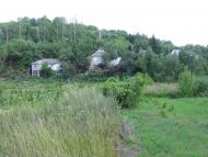 Хорошеве з panoramio.com