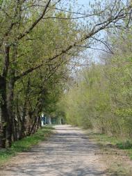 Шостаківка з panoramio.com