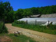 Краснолісся з panoramio.com