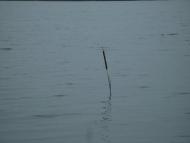 Березань - Останні фото