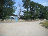 Журавки з panoramio.com