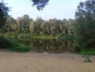 Кияшки з panoramio.com