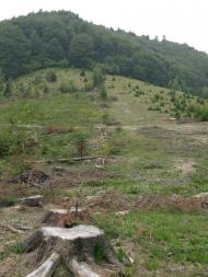 Красноїльськ з panoramio.com