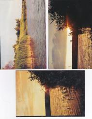 Липці з panoramio.com