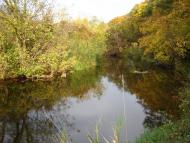 Новосілки з panoramio.com