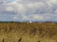 Зимне з panoramio.com