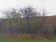 Високе з panoramio.com