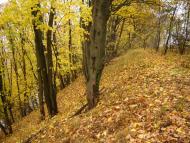 Новосілки з panoramio.com