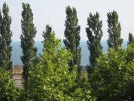 Южне з panoramio.com
