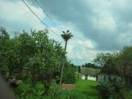 Малий Мидськ - Останні фото