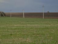 Андріївка з panoramio.com