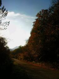 Голубинка з panoramio.com