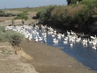 Мирне - Останні фото