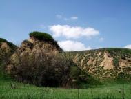 Красний Пахар з panoramio.com