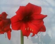 Нижнегорский - Последние фото